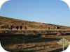 به سوی گودال نبی کندی